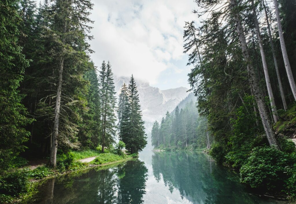 Les plus belles forêts françaises