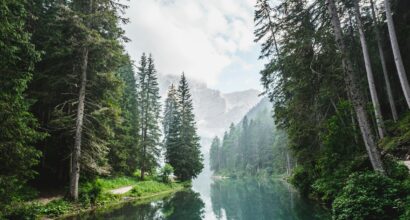 Les plus belles forêts françaises