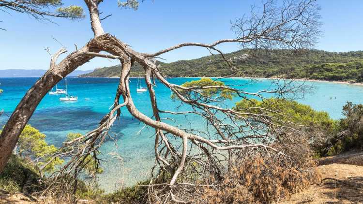 belles Côte d’Azur sud voyage infos famille Plage Notre-Dame sur l’île de Porquerolles