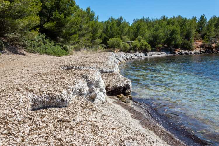 belles Côte d’Azur sud voyage infos famille Plage de l’éléphant au Lavandou