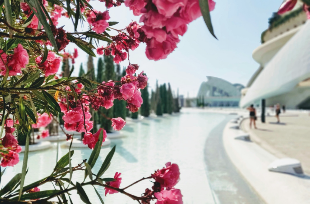 region_de_valencia_attitude_mediterraneenne _offrez-vous_une_escapade_printaniere