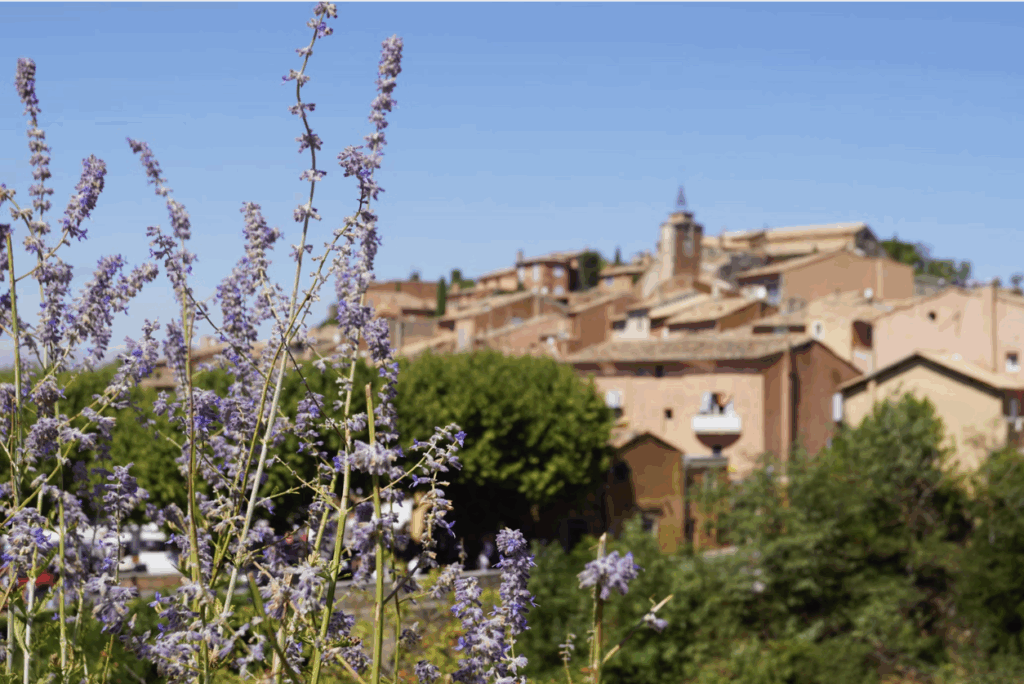 top_sejours_pour la_fete_de_la_bretagne_et_de_la_provence_2025