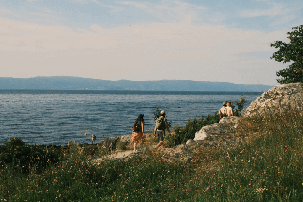 dernieres-promos-ete