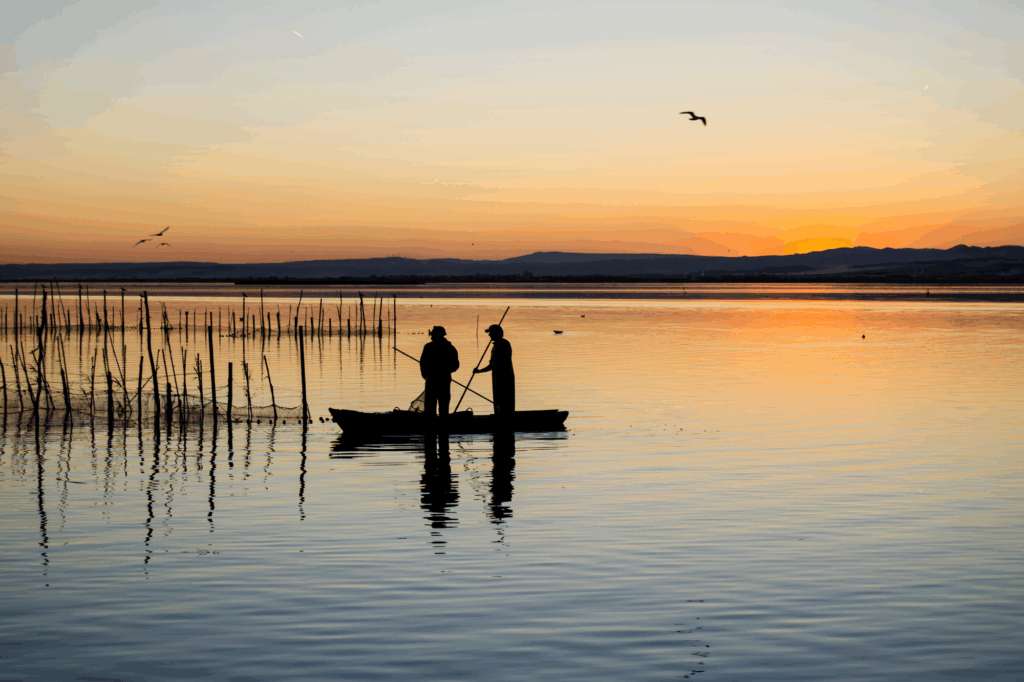 dernieres-promos-ete